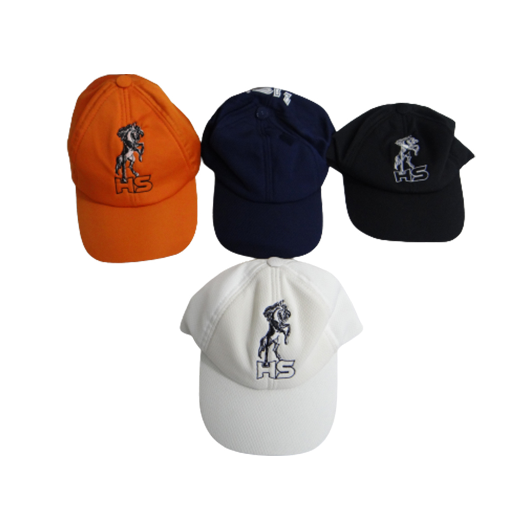 HS-Cricket-Caps.jpg